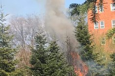 incendiu-la-dorohoi_05_20190407.jpeg