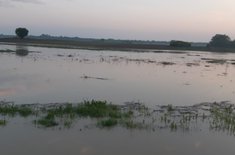 inundatii-04_20190503.jpg