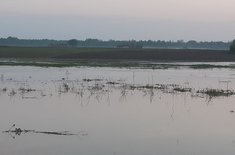 inundatii-05_20190503.jpg