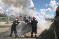 escavator-in-flacari-07_20190513.jpg