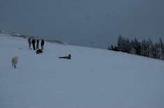 proiect-de-supravietuire-montana-10_20160113.JPG