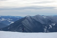 proiect-de-supravietuire-montana-11_20160113.JPG