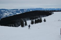 proiect-de-supravietuire-montana-5_20160113.JPG