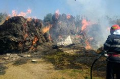 incendiu-stauceni-2_20190819.jpg