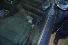 contrabanda-06_20190828.jpg