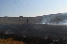 incendiu-vegetatie_3_20191003.jpg