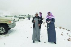 ninge-in-arabia_20160119_svxQvCP.jpg