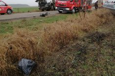 accident2_20191128.jpg