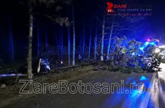 accident-dorohoi_02_20200127.jpeg