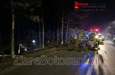 accident-dorohoi_04_20200127.jpeg