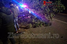 accident-dorohoi_05_20200127.jpeg