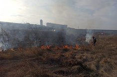 incendiu-vegetatie-02_20200128.jpg