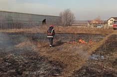 incendiu-vegetatie-16_20200128.jpg