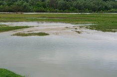 inundatii-009_20200622.jpg