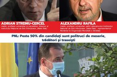 candidati-psd-versus-pnl_20201021.jpeg