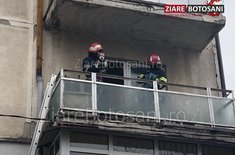 caini-salvati_08_20210416.JPG