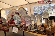 expozitie-la-dorohoi_22_20210421.jpeg