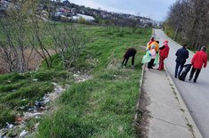 ziua-pamantului-psd-botosani-12_20210422.jpeg