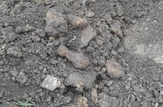 munitie_2_20210612.jpg