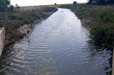 canal_20210806.jpeg