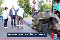 dj-208c-mesteacan-vorona-2_20211012.jpg