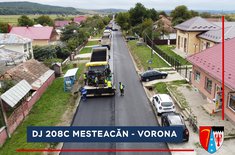 dj-208c-mesteacan-vorona-3_20211012.jpg