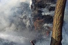 incendiu-cristesti_06_20211101.jpg