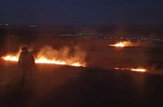 incendiu-vegetatie_2_20220115.jpeg