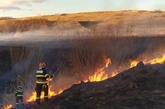 incendiu-vegetatie-1_20220219.jpeg