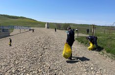curatam-botosani_08_20220507.jpg