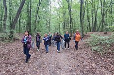 curatenie-isj_05_20220917.jpeg