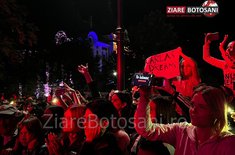 z-carlas_09_20221002.jpg