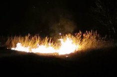 incendiu-dorohoi_2_20230325.jpg