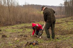 pentru-o-romanie-verde17_20230402.jpeg