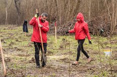 pentru-o-romanie-verde20_20230402.jpeg