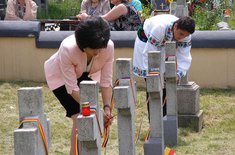 ziua-eroilor-botosani-08_20160609.jpg