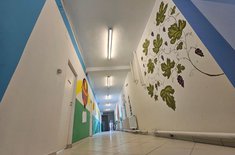 scoala-sulita-14_20231019.jpg