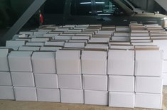 nuca-confiscata_2_20231217.jpg