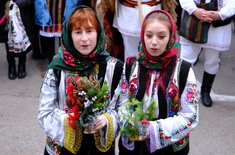 psd-bt_35_20231218.jpg