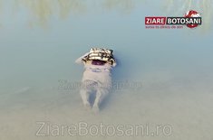 00cacbbf-4d0d-46fd-bebc-323c1021659d_20240208.jpg