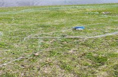 plase-2_20240528.jpg