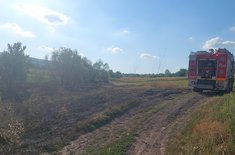 incendii-vegetatie_01_20240810.jpeg