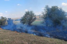 incendii-vegetatie_02_20240810.jpeg
