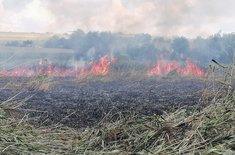 incendii-vegetatie_04_20240810.jpeg