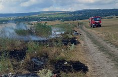 incendii-vegetatie_05_20240810.jpeg