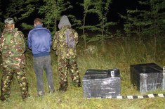 tigari-de-contrabanda-01_20160720.jpg