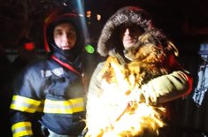 catel-2_20241206.jpg