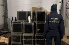 frontiera-06_20250122.jpg