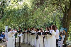 porni-luceafarul_03_20250616.jpg