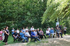 porni-luceafarul_16_20250616.jpg